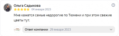 Отзыв на Яндекс от 04-01-2023